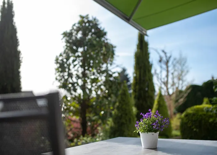 Pusteblume Lägenhet Kappelrodeck